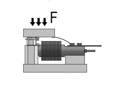 FA802.JPG